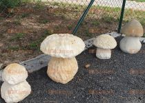 houby z kamene